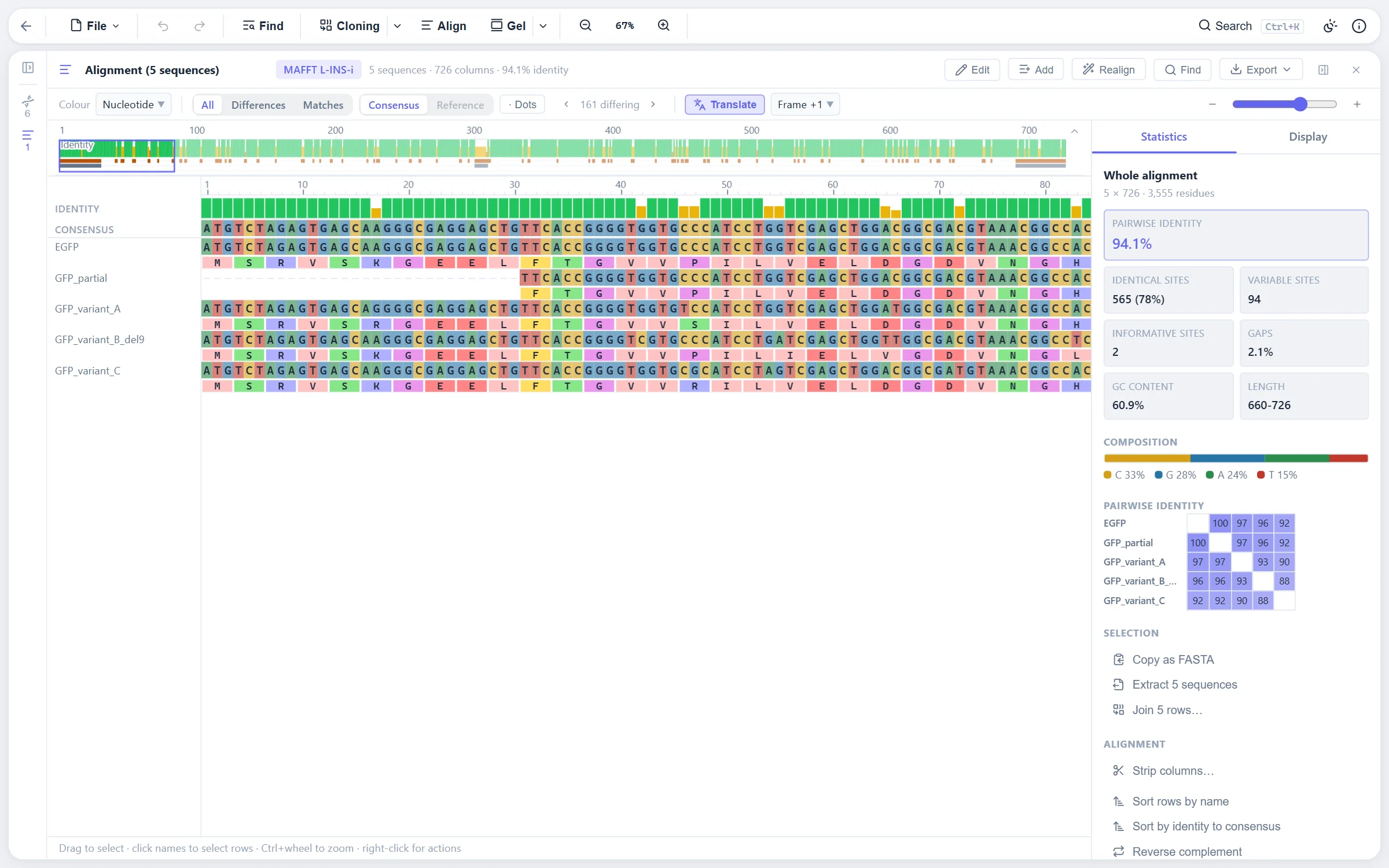 A MAFFT alignment of five GFP variants with translation rows and the statistics panel