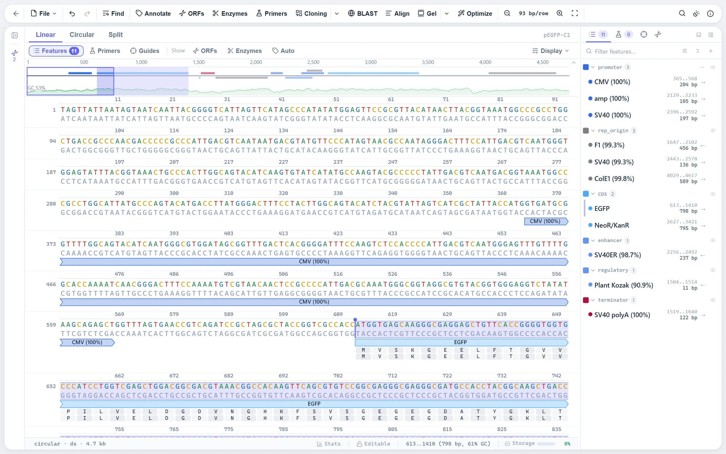 pEGFP-C1 in the sequence editor with the EGFP CDS selected, its translation and the feature panel