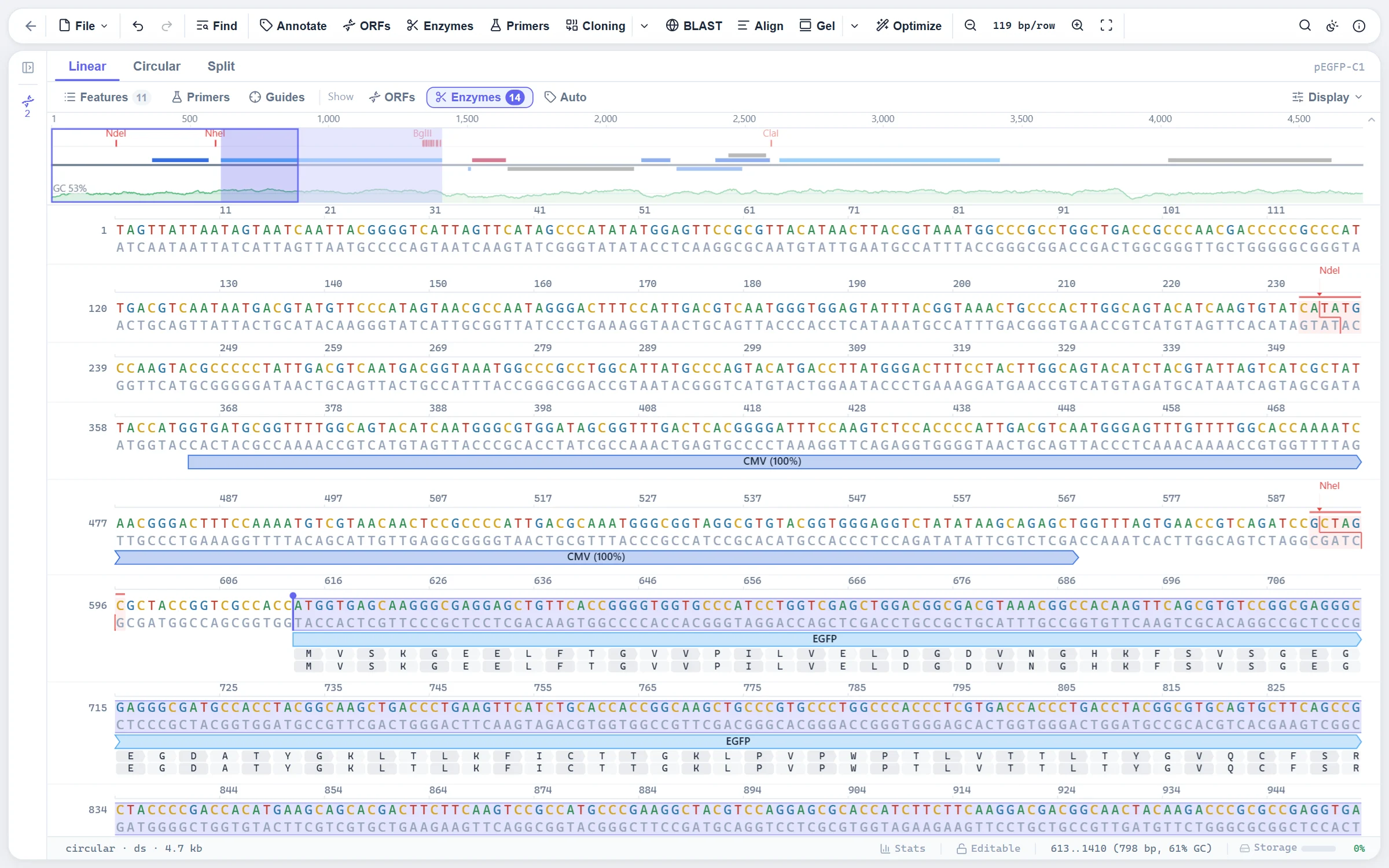 The same sites drawn in the sequence view, with cut steps on both strands and names in the overview