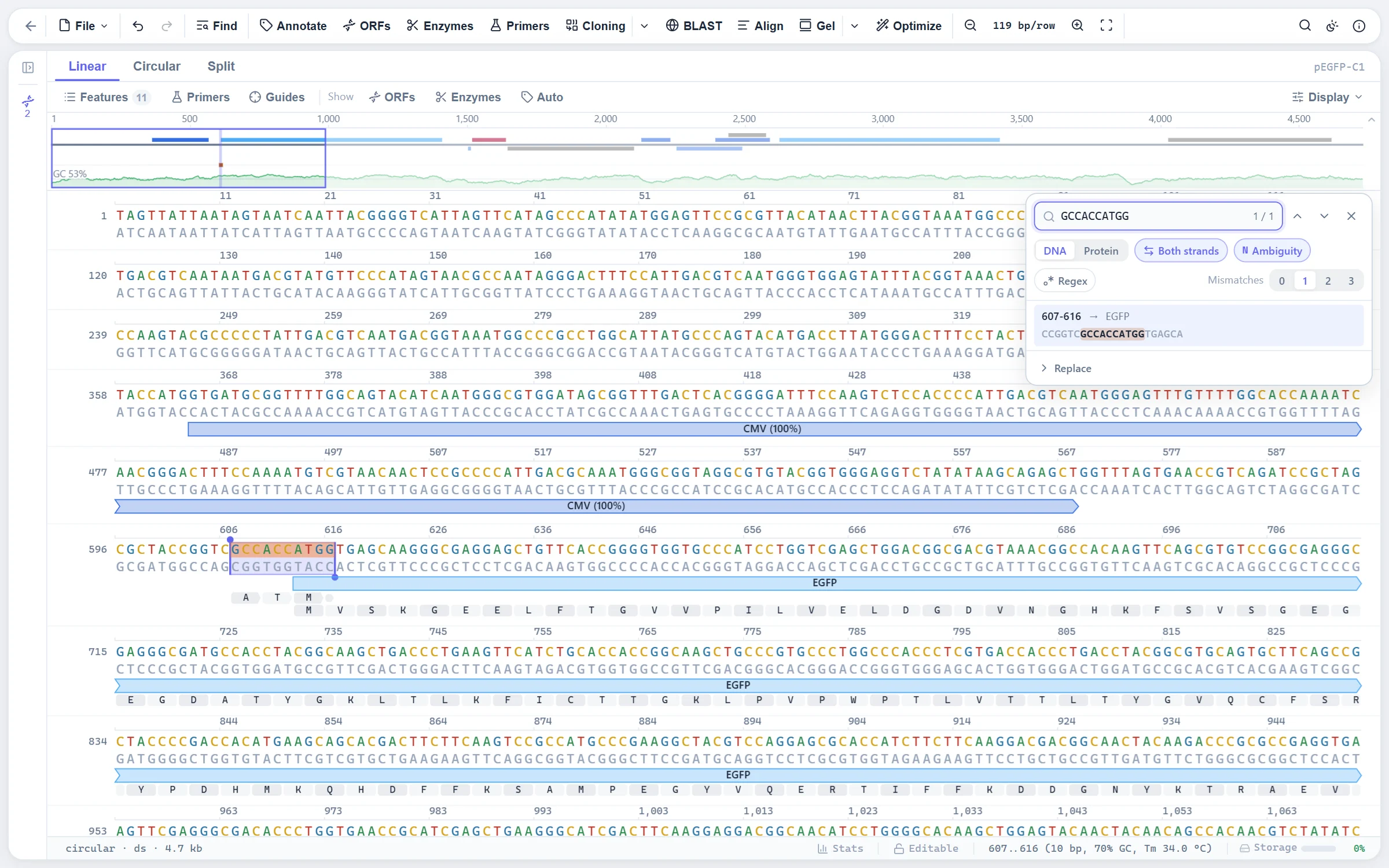 The find panel with a Kozak consensus search allowing one mismatch and its hit in context