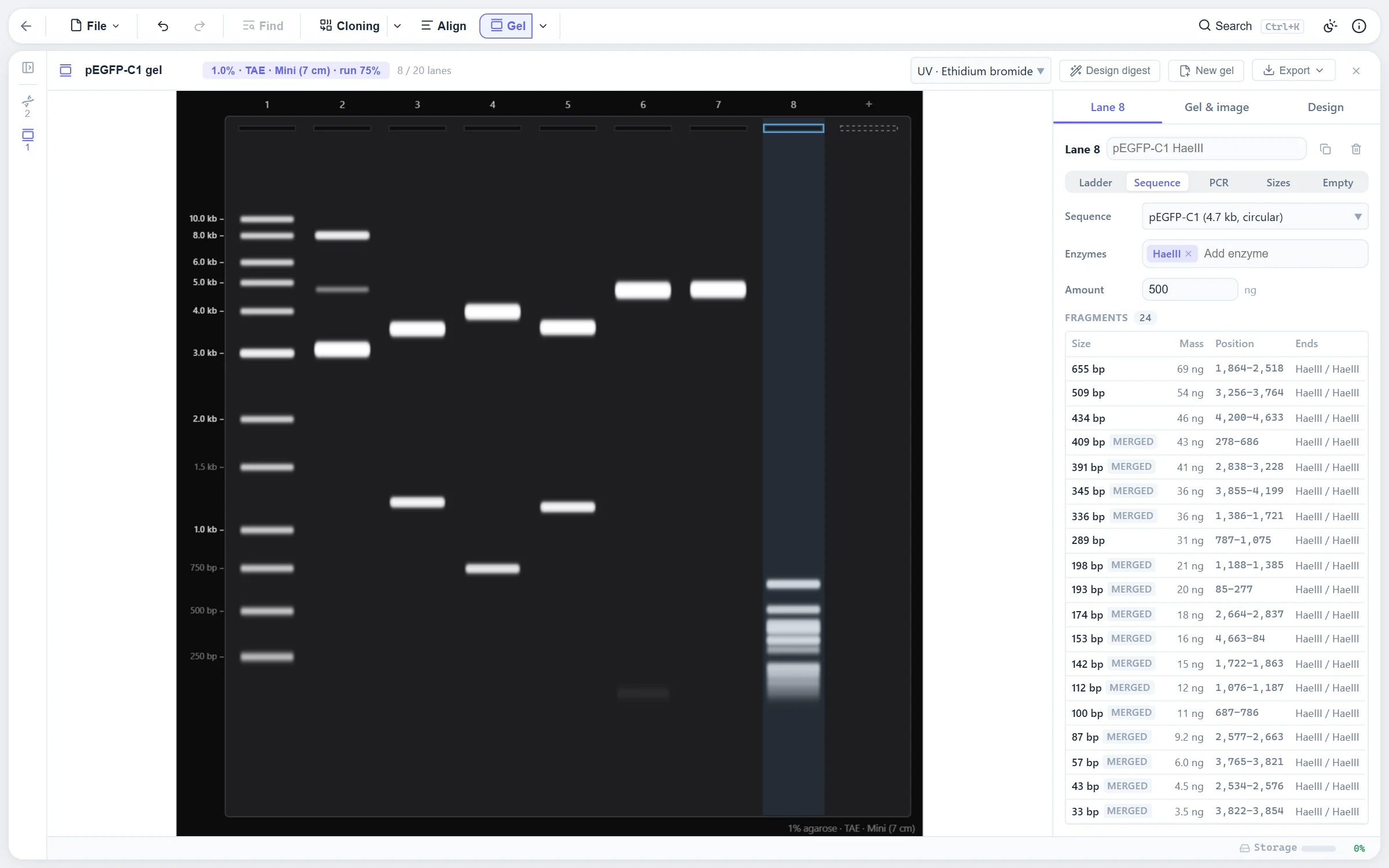 A virtual agarose gel of pEGFP-C1 digests beside a ladder, with the fragment table of the selected lane