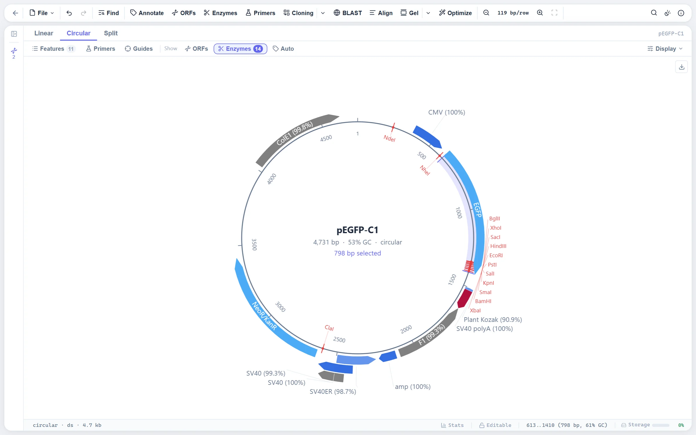 A circular plasmid map of pEGFP-C1 with features, cut sites and labels outside the ring