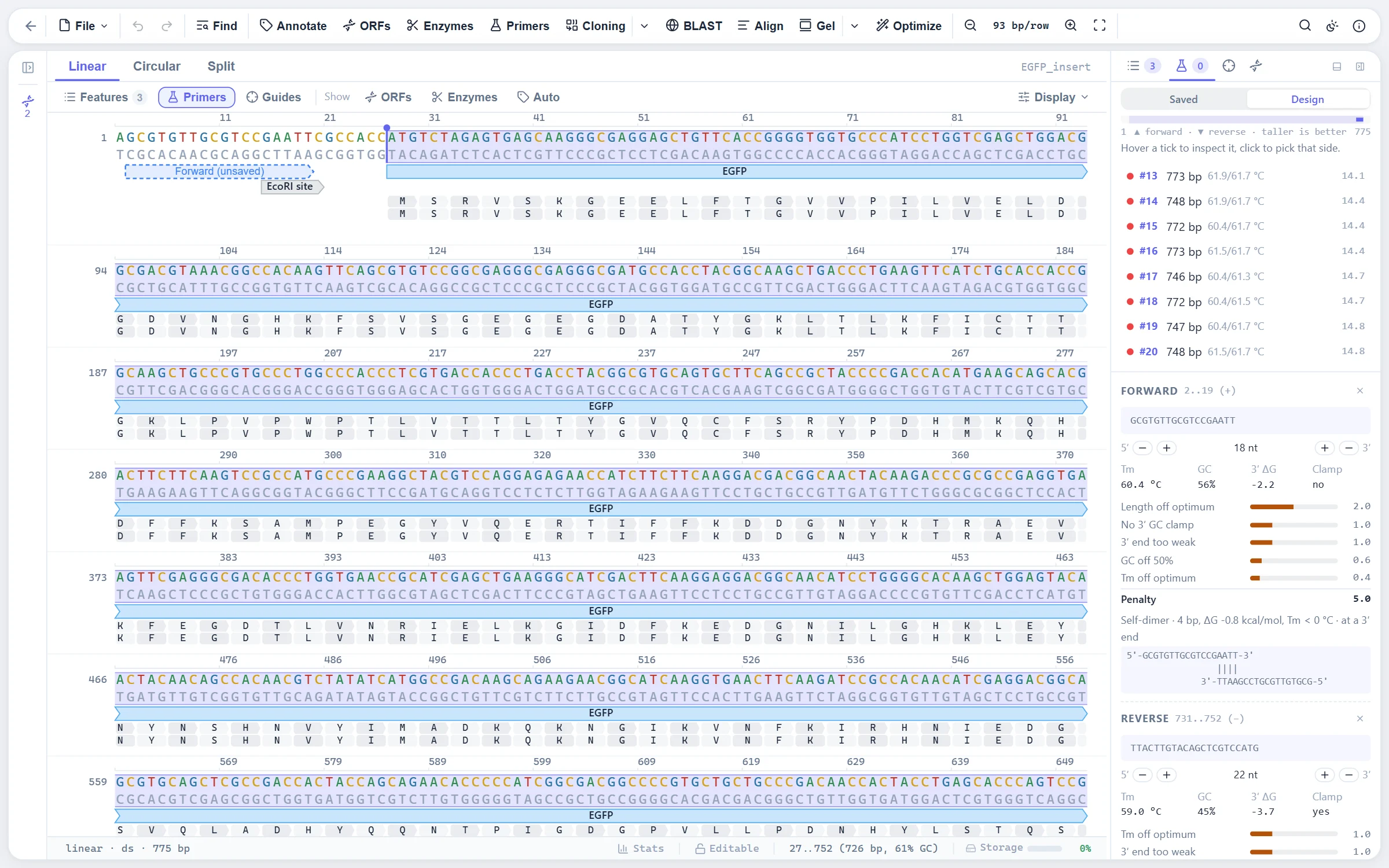 The primer design workbench with ranked pairs and the inspector showing Tm, GC, 3-prime dG and a self-dimer