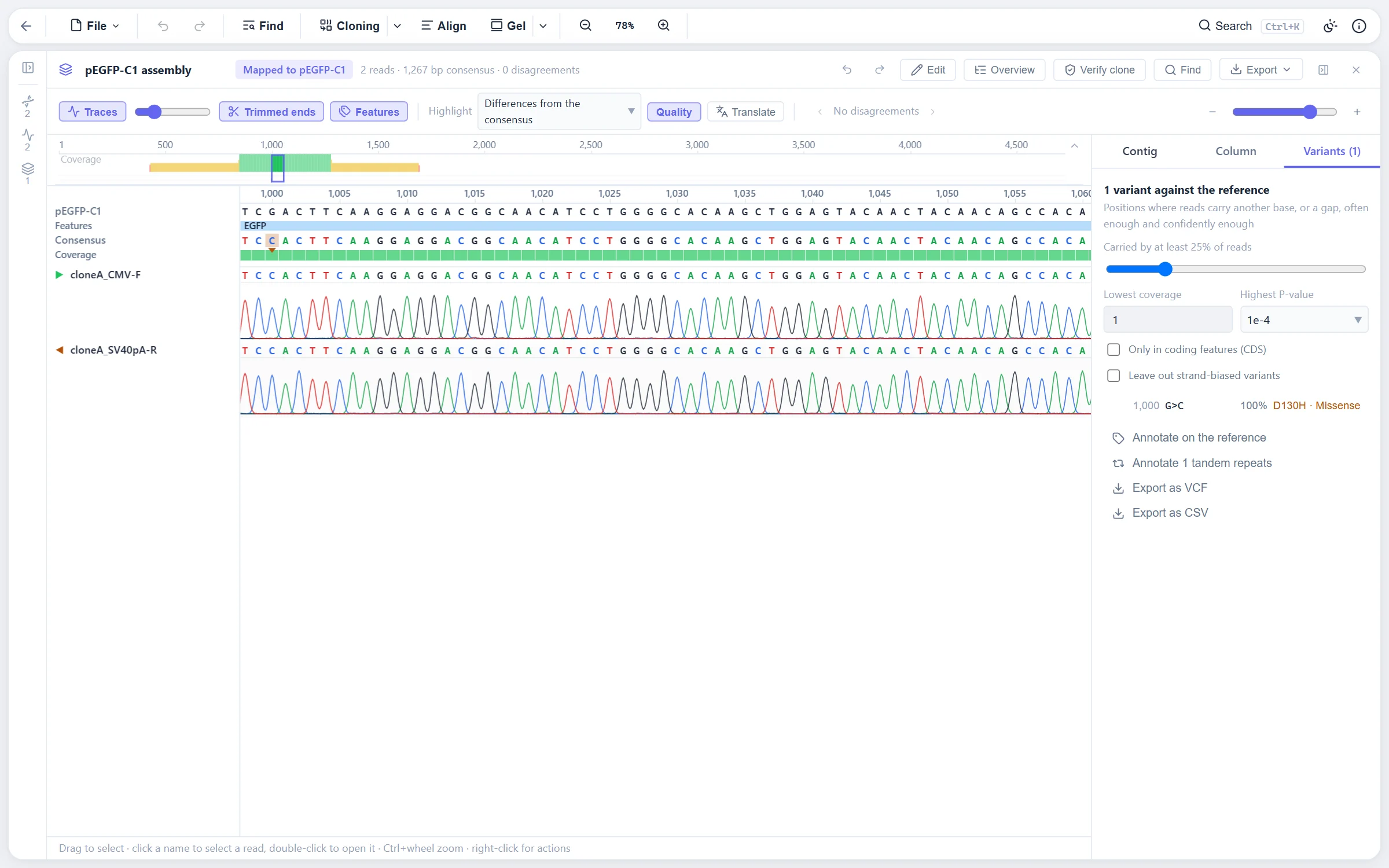 Two Sanger traces of a pEGFP-C1 clone assembled on the plasmid, with a G to C variant in EGFP called as a D130H missense